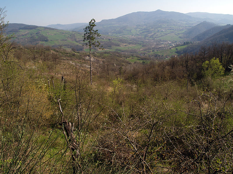 Oasi naturalistica del Carmine